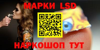 прущие грибы Брянск