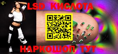 прущие грибы Брянск