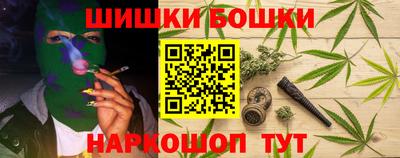 прущие грибы Брянск