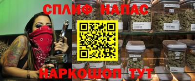 прущие грибы Брянск