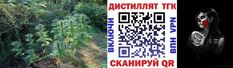 как найти наркотики  Махачкала  ТГК концентрат 