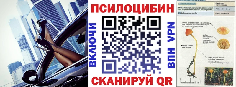 как найти закладки  Махачкала  Псилоцибиновые грибы Psilocybine cubensis 