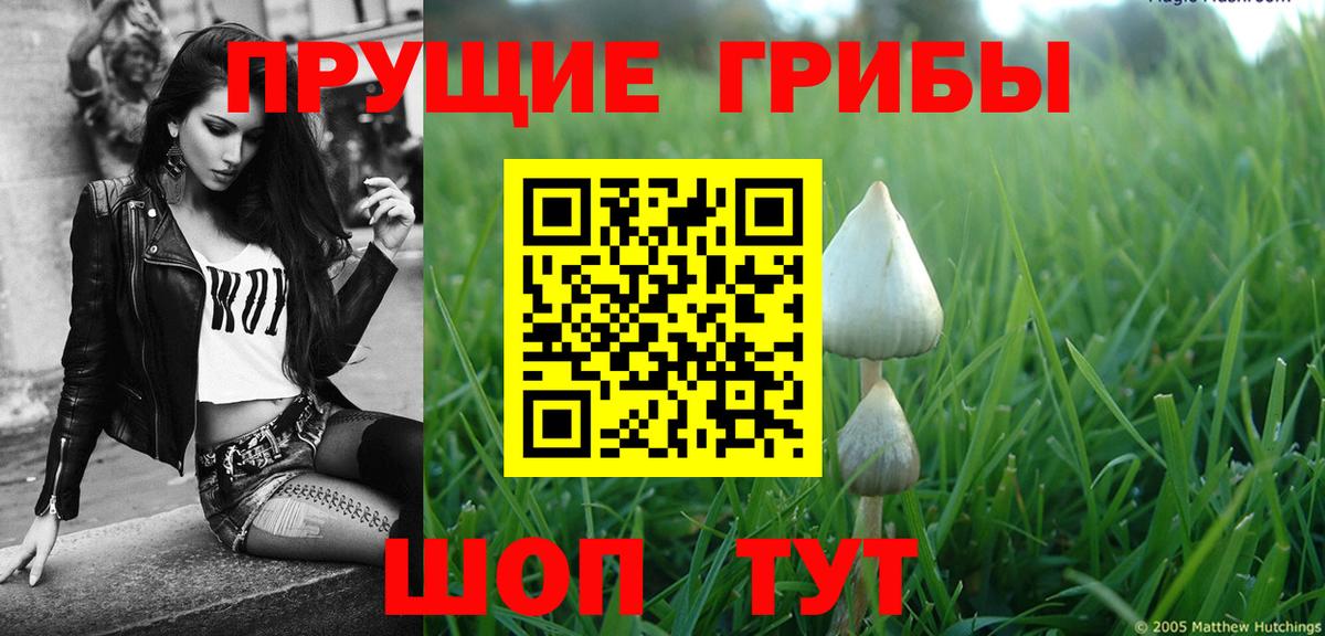 Махачкала  Галлюциногенные грибы ЛСД  Вход с VPN 